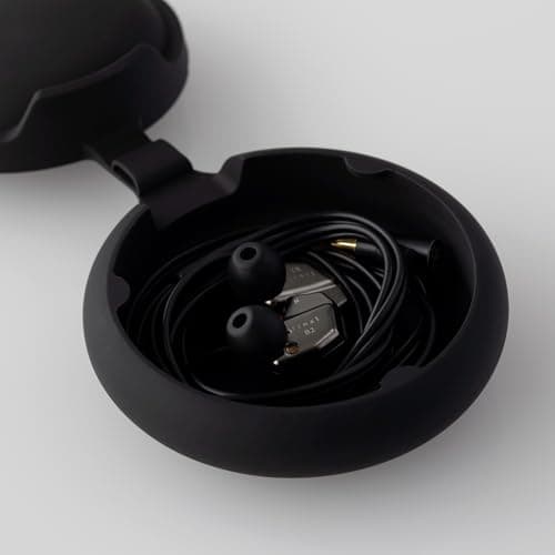 Final B2 In-Ear Closed Wired Headphones image