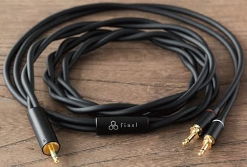 Final D8000 Wired Headphones Closed image