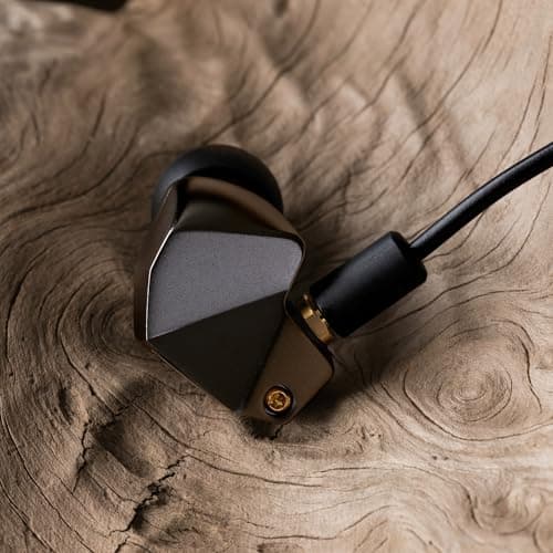 Final B2 In-Ear Closed Wired Headphones image