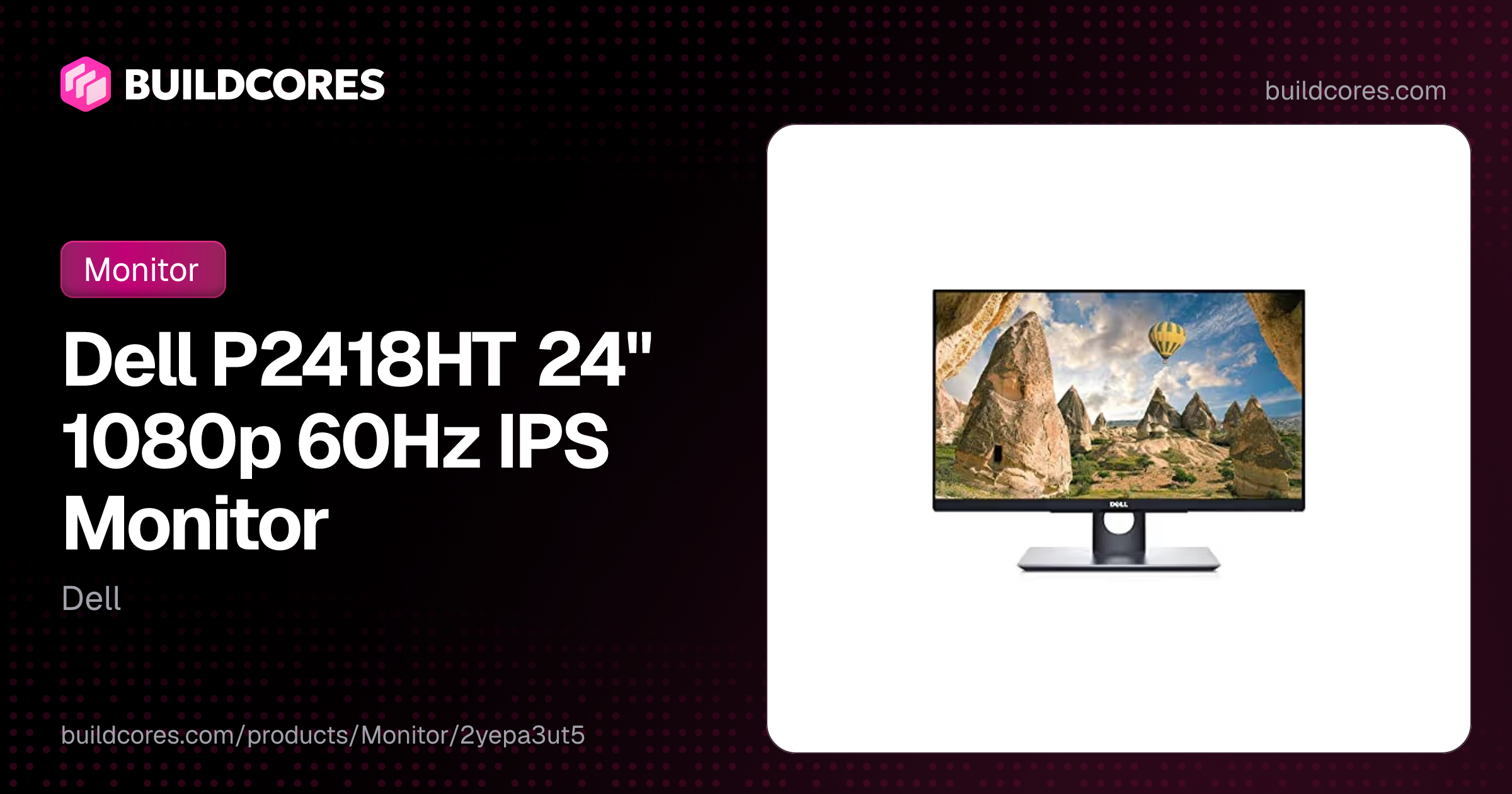 Dell P2418HT 24