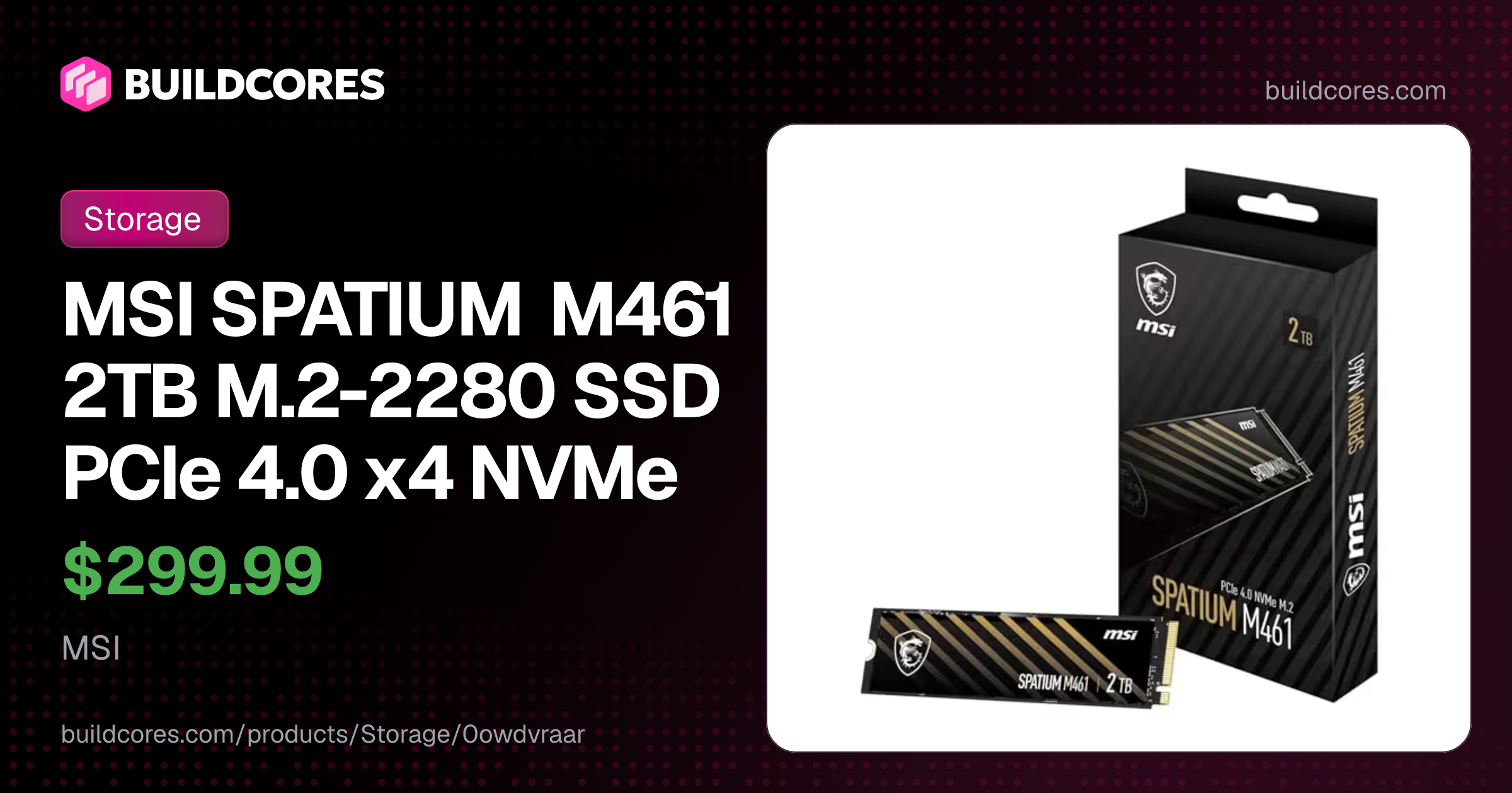 MSI SPATIUM M461 2TB M.2-2280 SSD PCIe 4.0 x4 NVMe | BuildCores