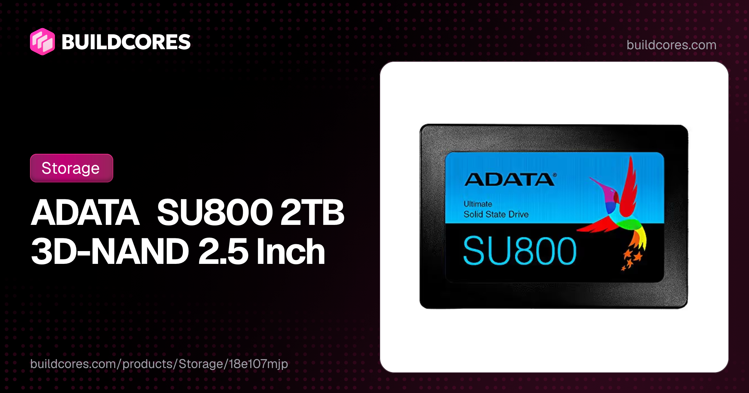 ADATA SU800 2TB 3D-NAND 2.5 Inch | BuildCores